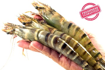 Fresh Prawns & Crab