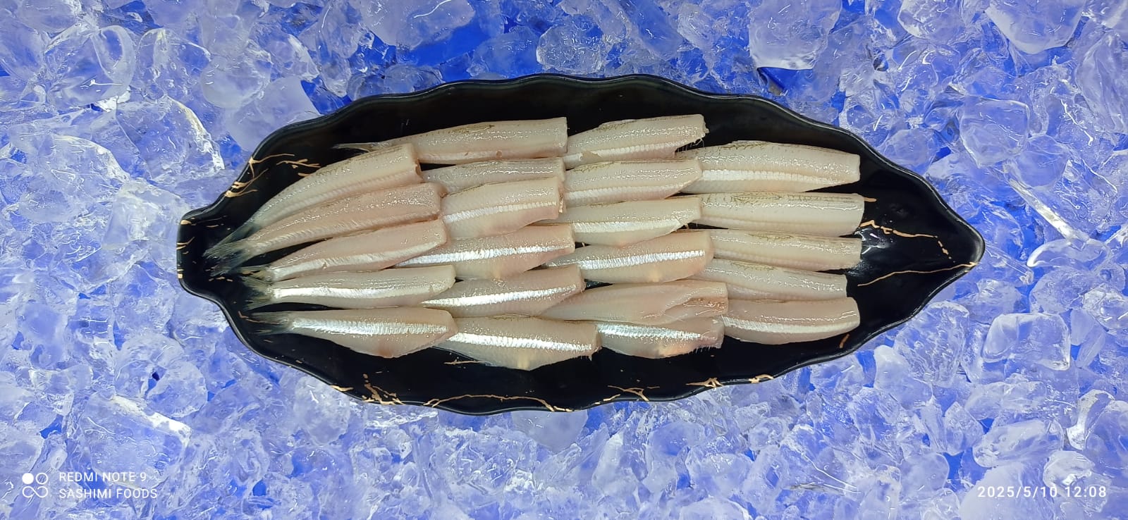 Anchovy /Nathalie Fish